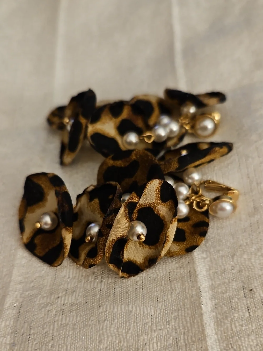 Cato bold leopard